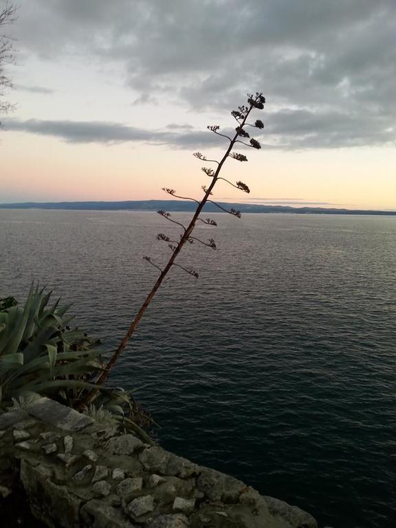 Apartment Miskovic Makarska Exterior photo